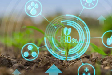 Cultivating Success: IoT in Smart Agriculture