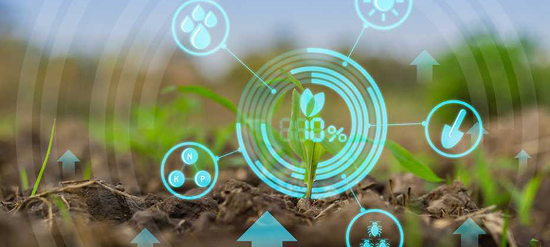 smart agriculture